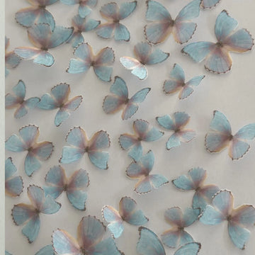 Pink & Blue Pre-cut Edible Wafer Butterflies image 3