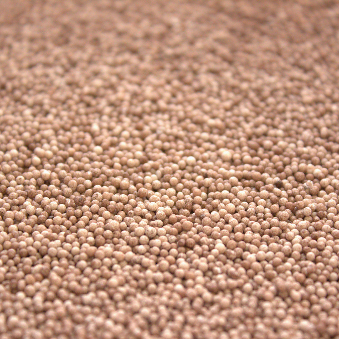 Chocolate Ombre 130GM HAND COLOURED